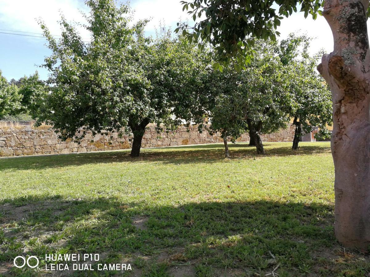 Casas Marias De Portugal - Cerveira Lägenhet Vila Nova de Cerveira Exteriör bild